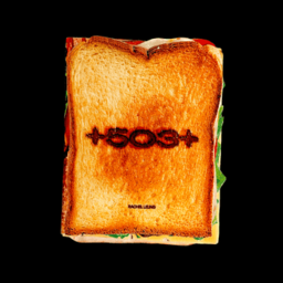 +503+