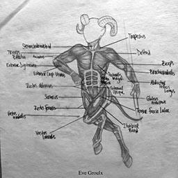 Satyr Anatomy