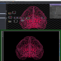Introprojection