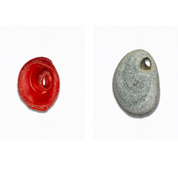 Unwanted and Admired