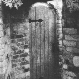 The Door