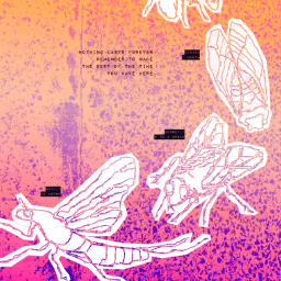 Nothing Lasts Forever