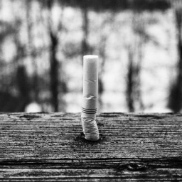 04. Ephemeral Everlasting