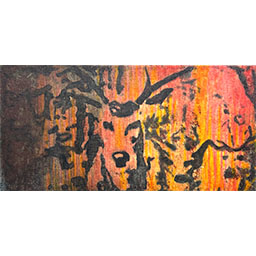 'Unfolding Tapestry of Ecosystem Colours in Summer (2)'