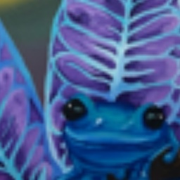 Frogs