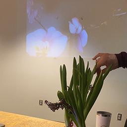 Floral Music Instruments