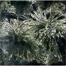 'Beauty in Frozen Devastation 6'