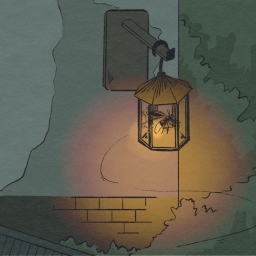 The Lantern Will Guide You Home