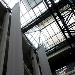 Monotony, they are Moments of Elation