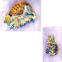 I smell you, I see you