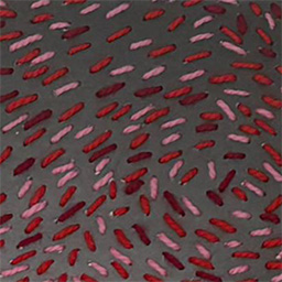 Untitled (Passion Project)