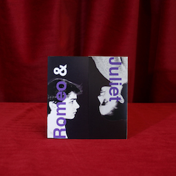 Romeo & Juliet (Sheakespeare: From Stage to Page)