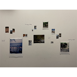 Where We Used to Walk - Installation