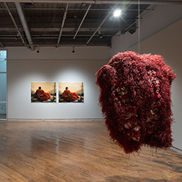 Shedding Heaviness - Group Exhibition