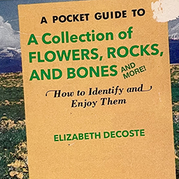 07 A Pocket Guide to A Collection