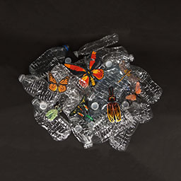 Threads of Life: A Tapestry of Endangered Insects in garbages