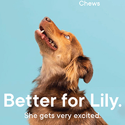 Better for Pet Valu Campaign