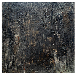 In the Dark of the Night Into the Woods We go