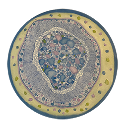 10: Microbe