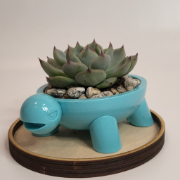 Terra Succulent Planter