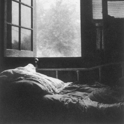 Jennifer's Window