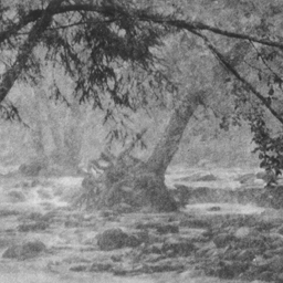 Greenbrier Stream