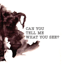 Can You Tell me What You See?