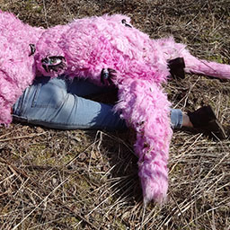 Some Days it is all too Much