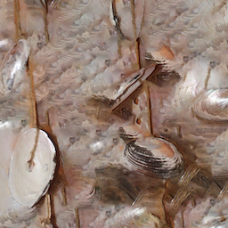 Foraged Digital Collage #6