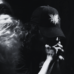 Z. Gig photography