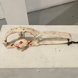 Trapped in Williams 1923 Treaty