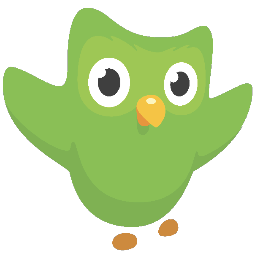 Duolingo Binge a Language