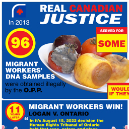 Real Canadian Justice