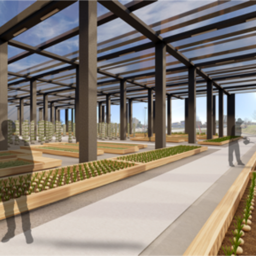 The New Age of Strip Malls