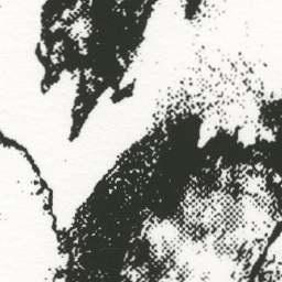 SCA 5