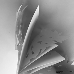 علَى هَذِهِ الأَرْض - On This Land: Publication