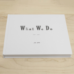 What We Do (2020-2024)