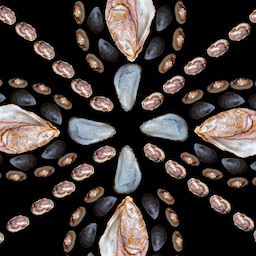 Foraged Digital Collage #4