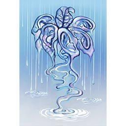 Sedateness沉静