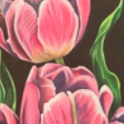 Tulips