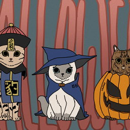 Halloween Cats