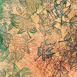 GradEx 107: Madhuban; मधुबन (Sweet; Madhu/ Forest; Ban) (May 11th - 15th at OCAD U)