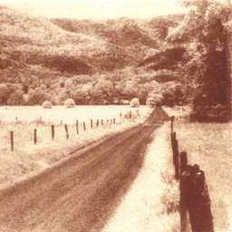 Sparks Lane