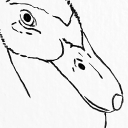 Sosuke the Duck (In Production)