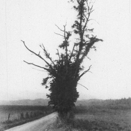 Hyatt Lane