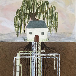 Coronary Artery Disease/Willow Trees