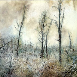 'Beauty in Frozen Devastation 2'