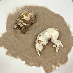 The Time Has Come II