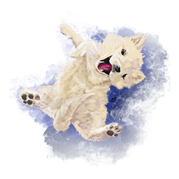 Behind the beast: Creature Comforts