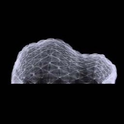 GRAFT: Pneumatic Rooftop Structures for Community Nourishment in Urban Housing Redevelopment